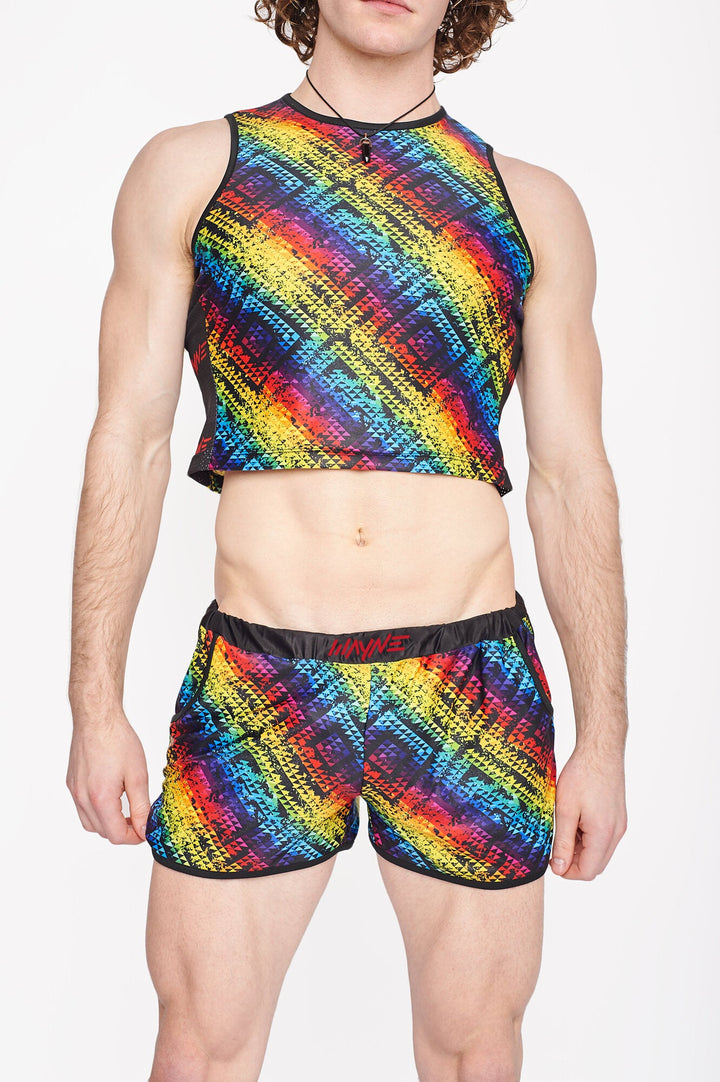 Rainbow Silk Shorts