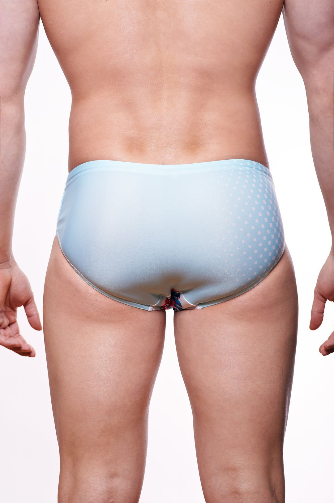 Flamingo Paradise Speedo