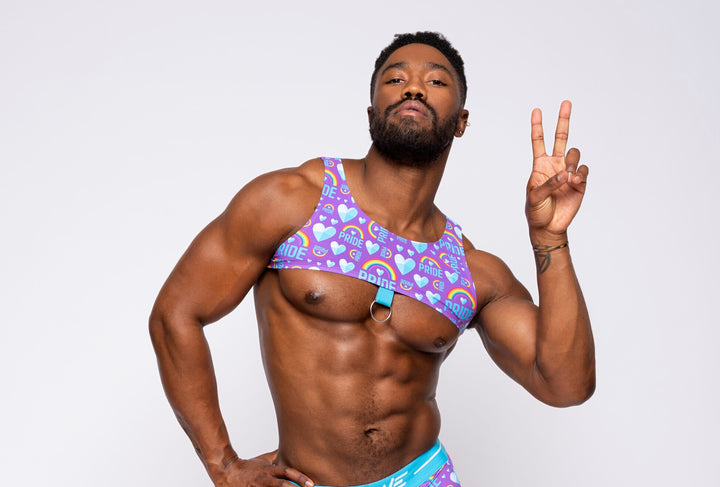 Purple Pride Harness